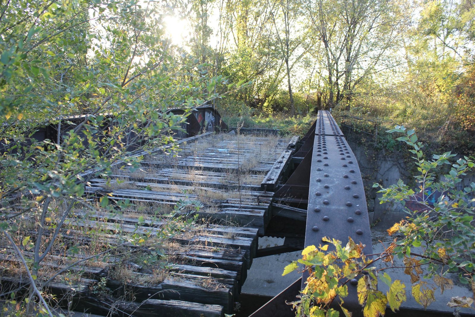Looking west